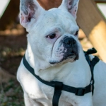 Бонусы казино без депозита для новых игроков