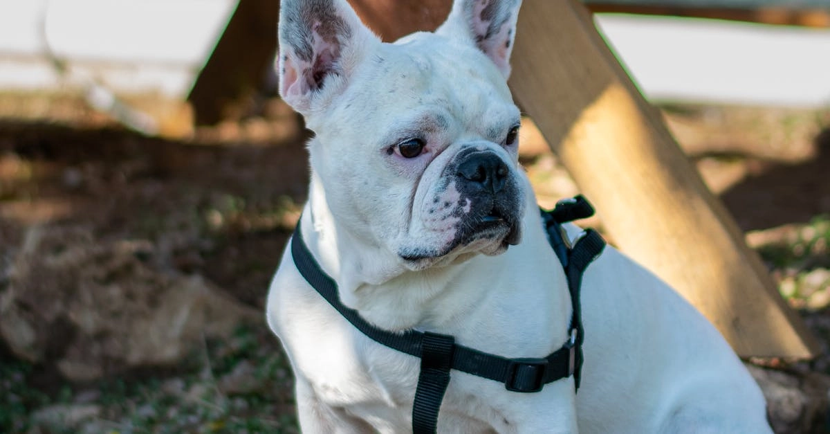 Бонусы казино без депозита для новых игроков