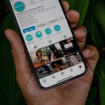 Немецкие игорные сайты и их влияние на экологию