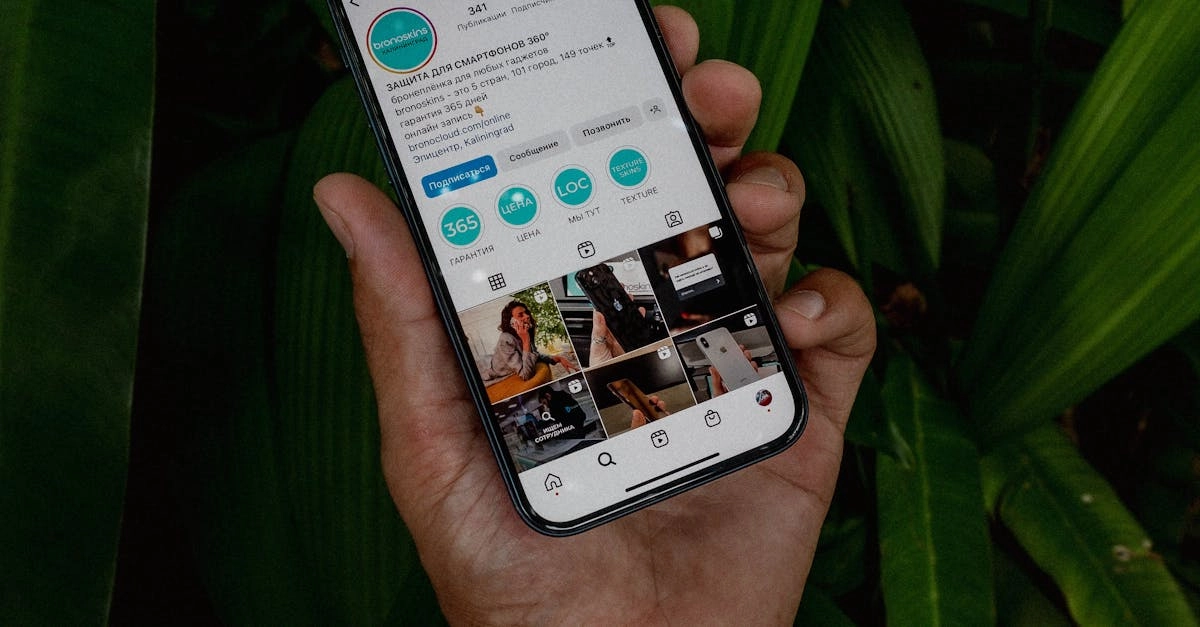 Немецкие игорные сайты и их влияние на экологию
